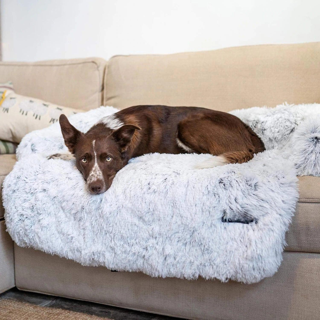 Wendy Pet Shop™ Calming Furniture Protector
