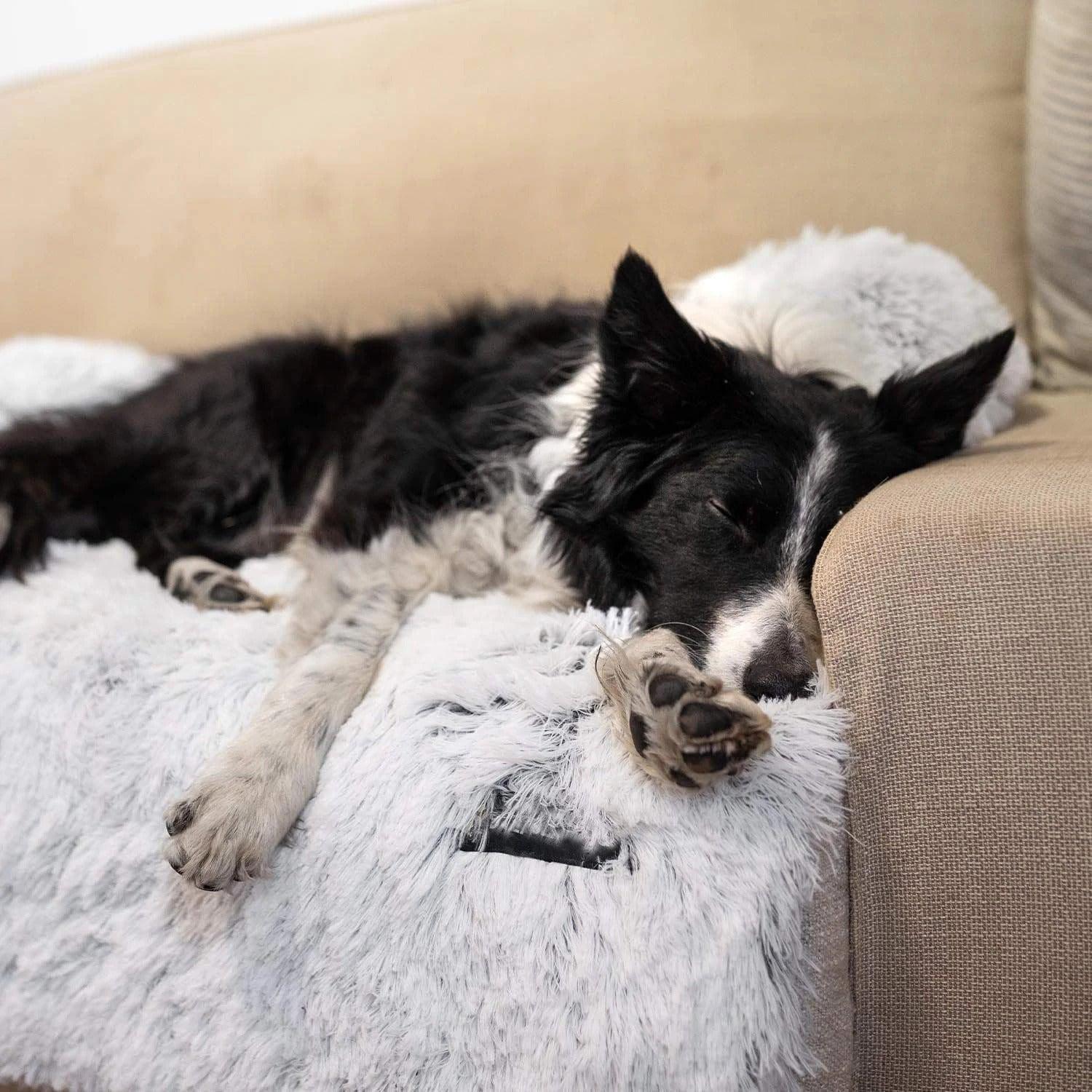 Wendy Pet Shop™ Calming Furniture Protector