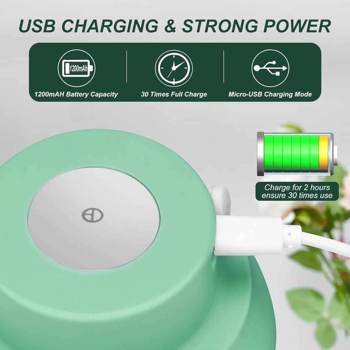 Electric Garlic Chopper 250ML