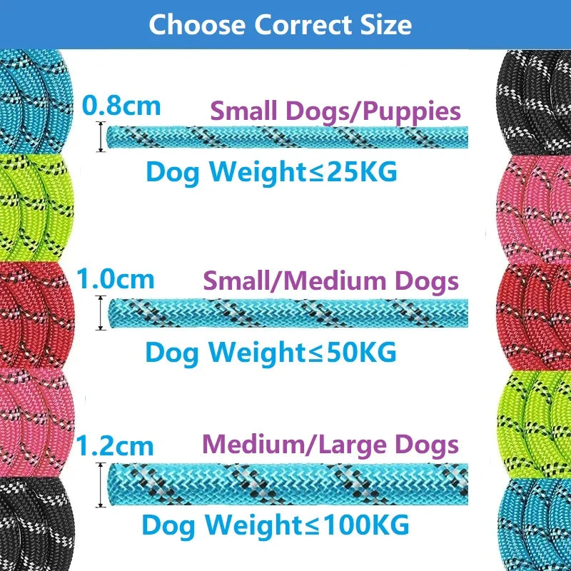 Strong Dog Leashes