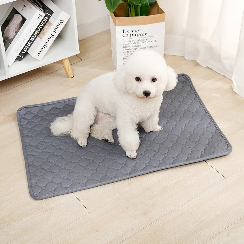 Absorbent Dog Pee Pad