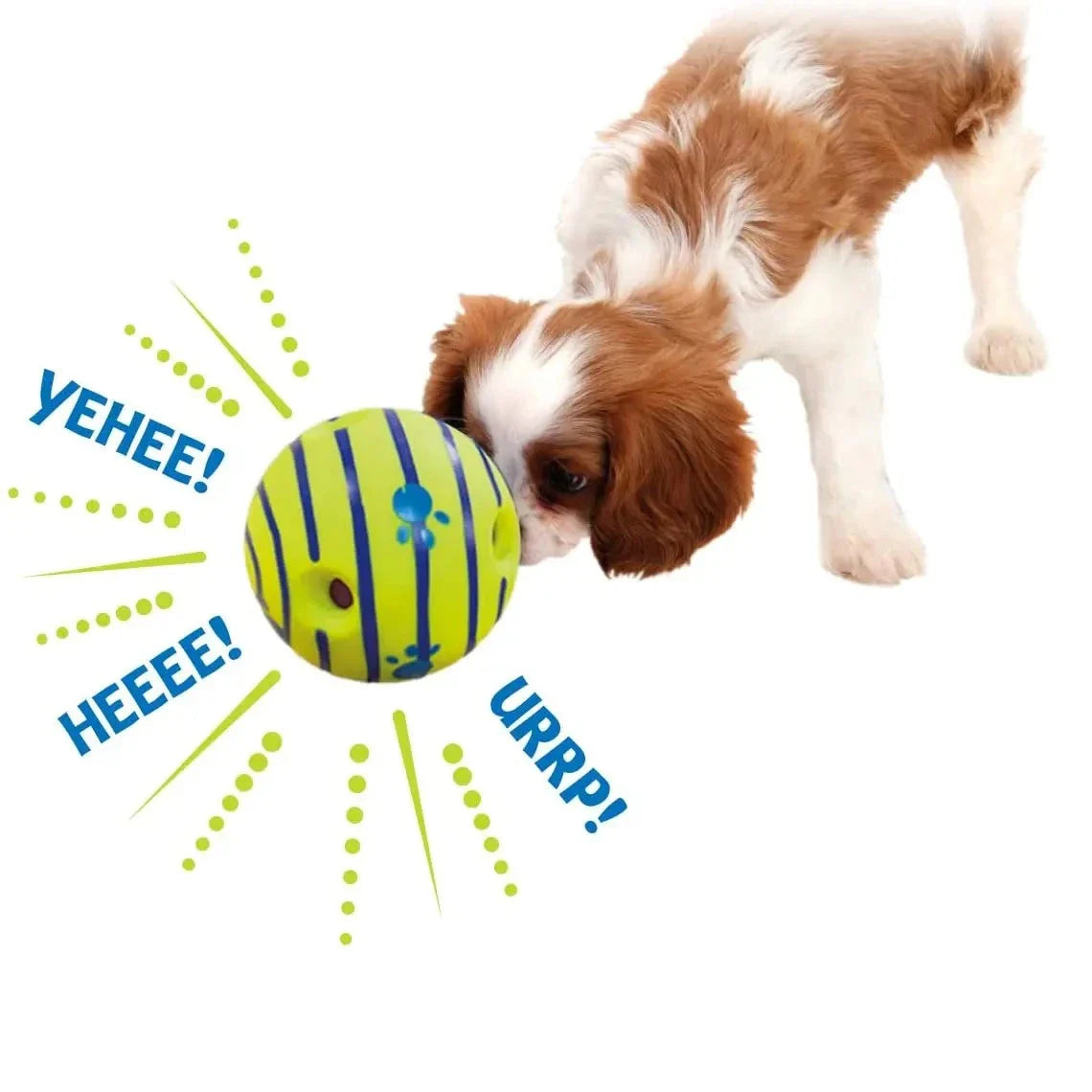 Wobble Interactive Dog Toy