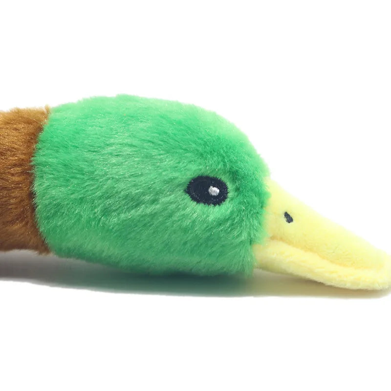 Plush Dog Chew Toy