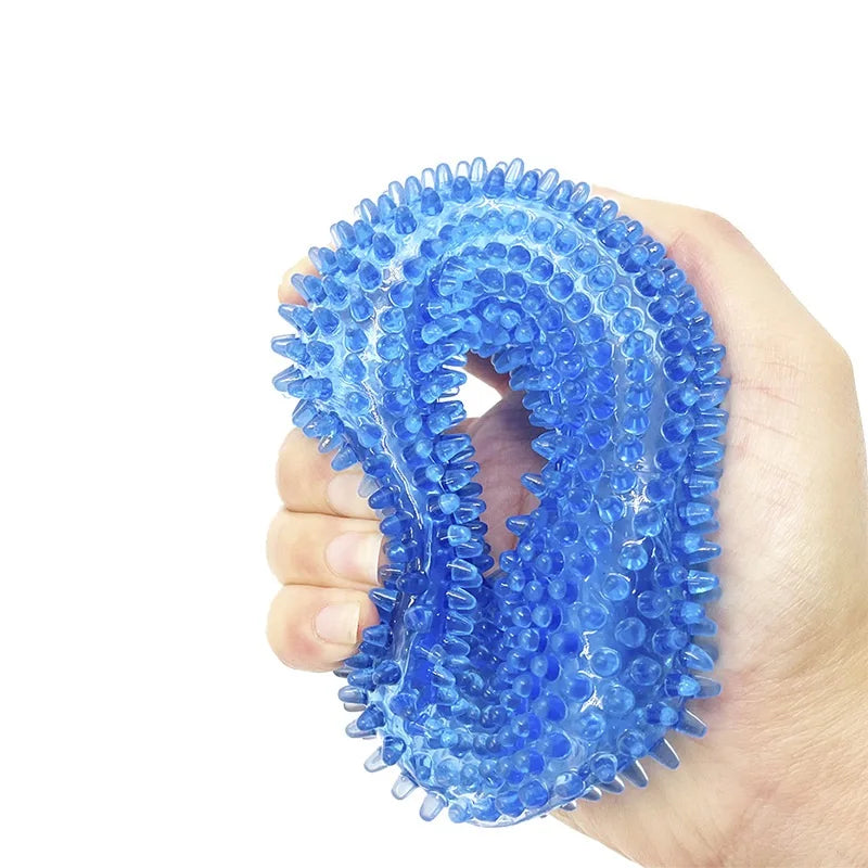Interactive Dog Chew Toy