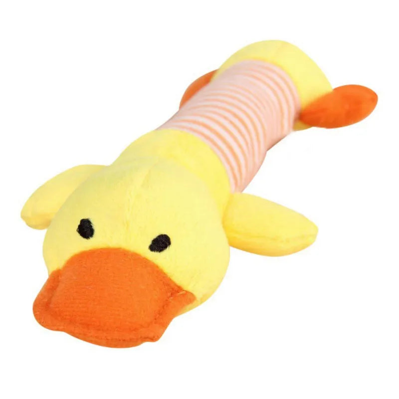 Squeaky Plush Chew Toys