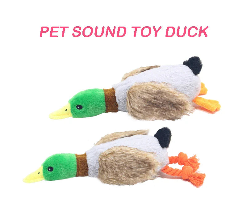 Plush Dog Chew Toy