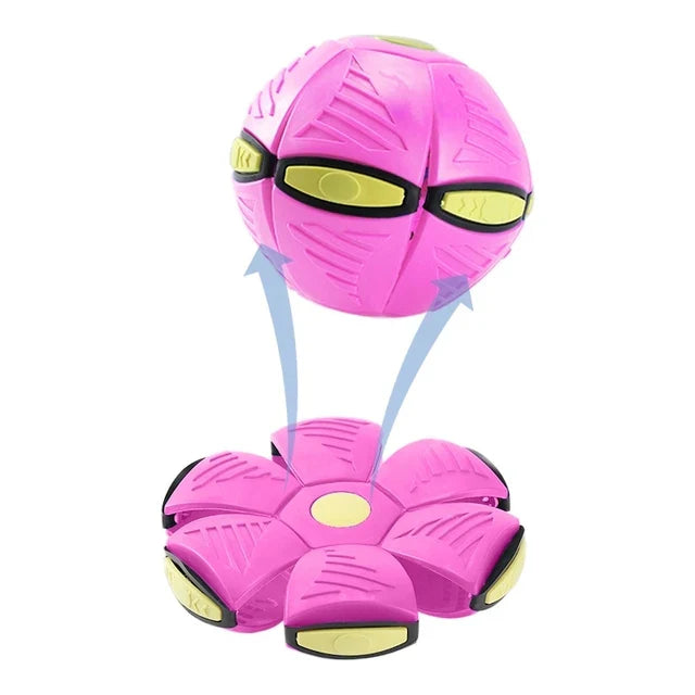 Flying Saucer Dog Toy