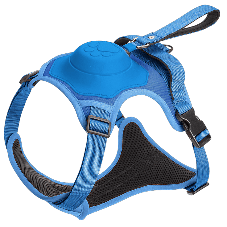 Wendy Pet Shop™ Dog Harness and Retractable Leash Set All-in-One