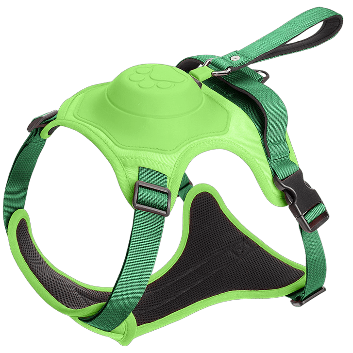 Wendy Pet Shop™ Dog Harness and Retractable Leash Set All-in-One
