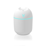 Mini Air Refresher - Modern