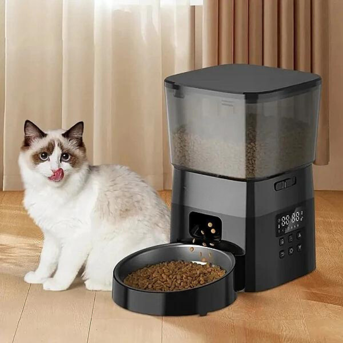 Automatic Cat Feeder