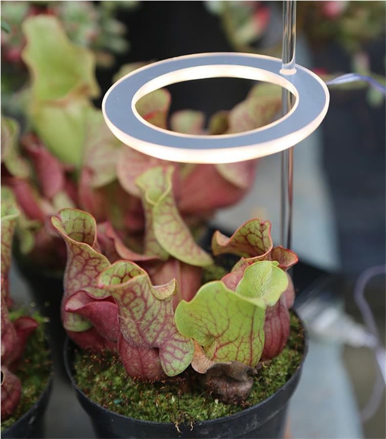 LED Circle Grow Light