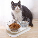 Wendy Pet Shop™ Orthopedic Anti-Vomiting Cat Feeder