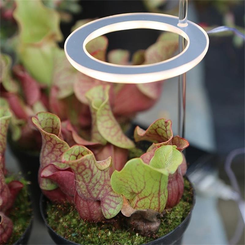 LED Circle Grow Light