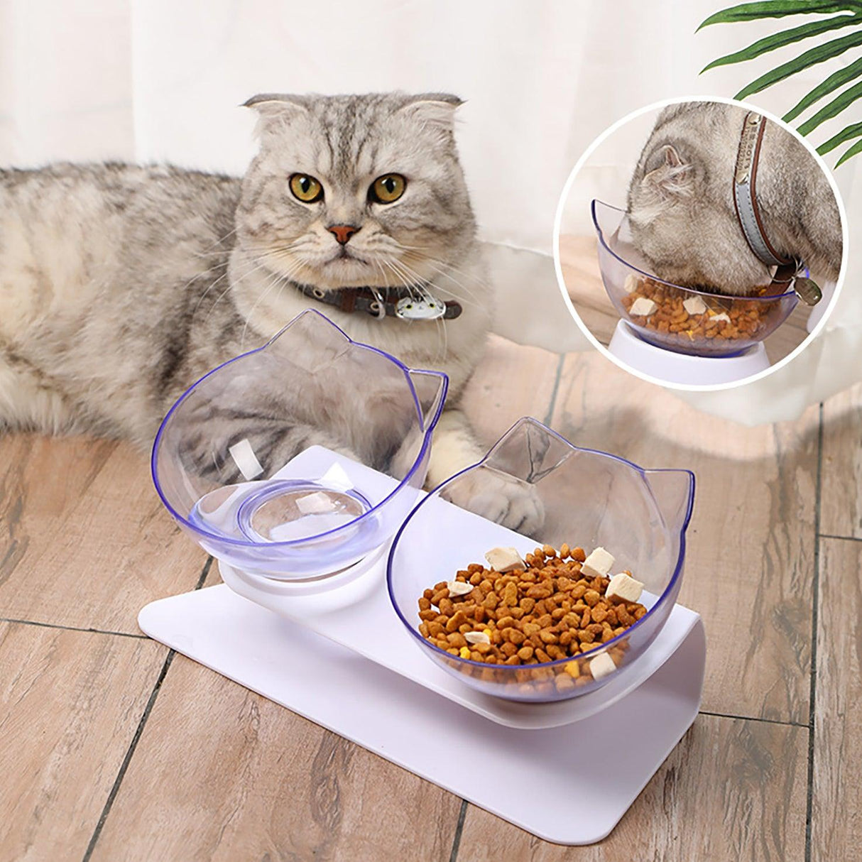 Wendy Pet Shop™ Orthopedic Anti-Vomiting Cat Feeder