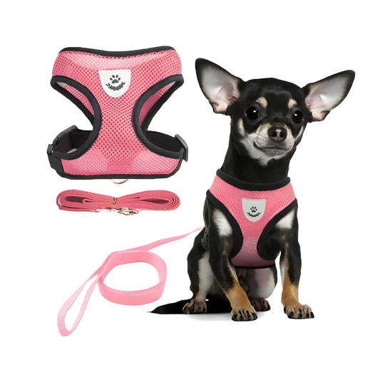 Adjustable Vest Pet Harness