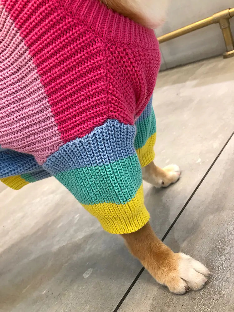 Puppy Knitted Rainbow Sweater