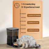 Automatic Cat Feeder