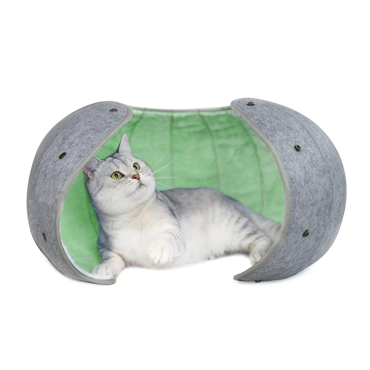 Wendy™ Fordable & Portable Cat Bed