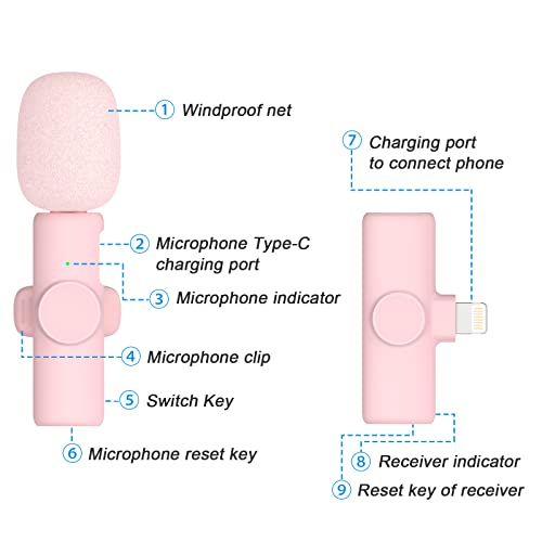 Dual Wireless Lavalier Microphone for iPhone iPad