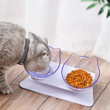 Wendy Pet Shop™ Orthopedic Anti-Vomiting Cat Feeder