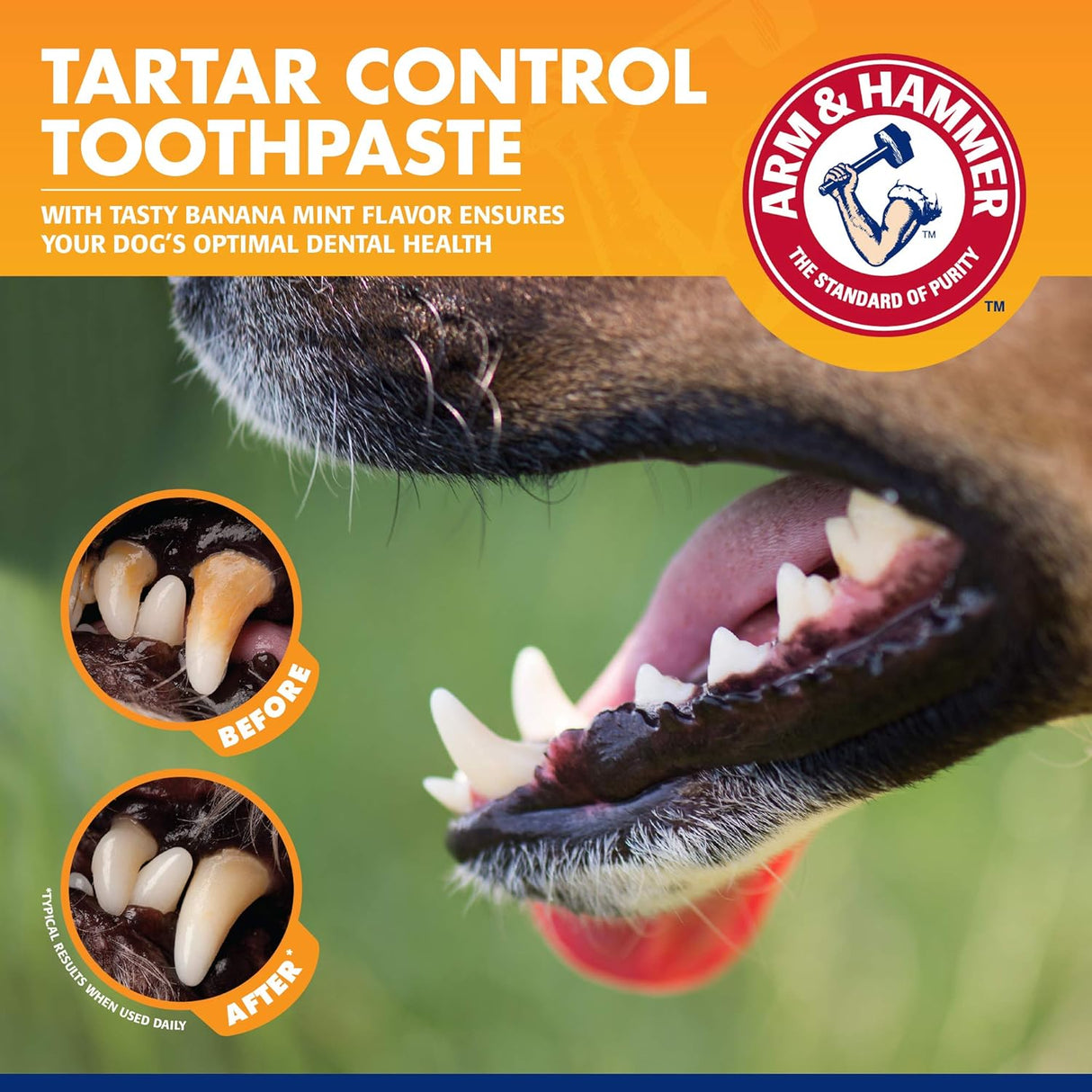 Arm & Hammer Dog Dental Care