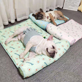 Cool Dog and Cat Mat Summer