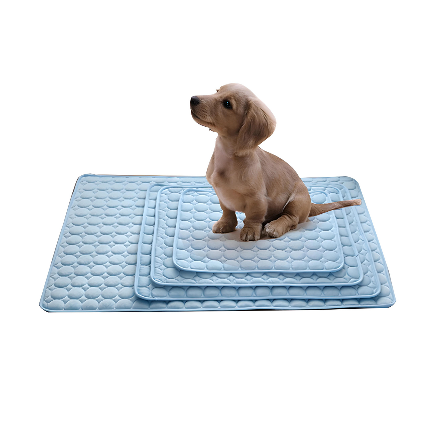 Cooling Summer Pet Mat