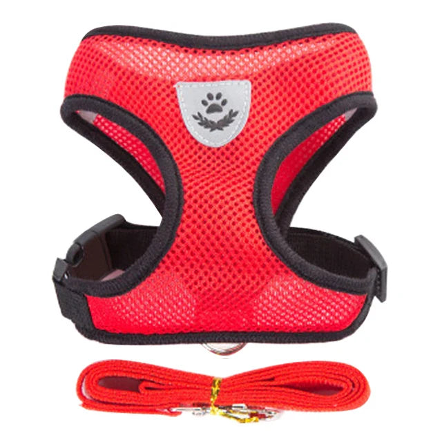 Cat Harness Vest