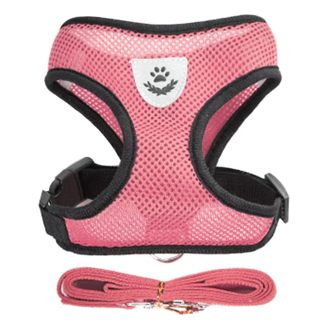 Cat Harness Vest