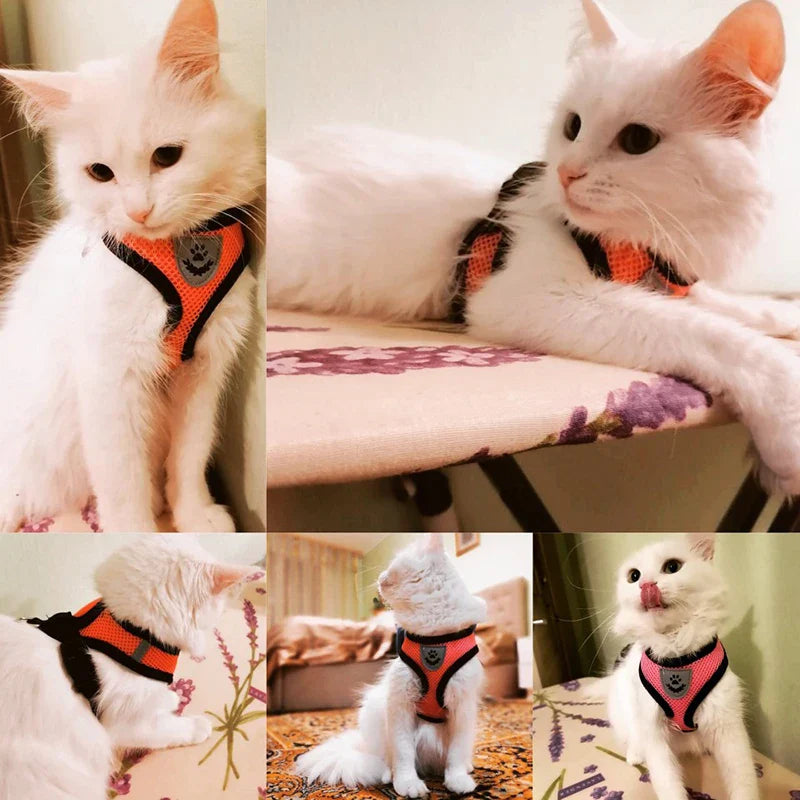 Cat Harness Vest