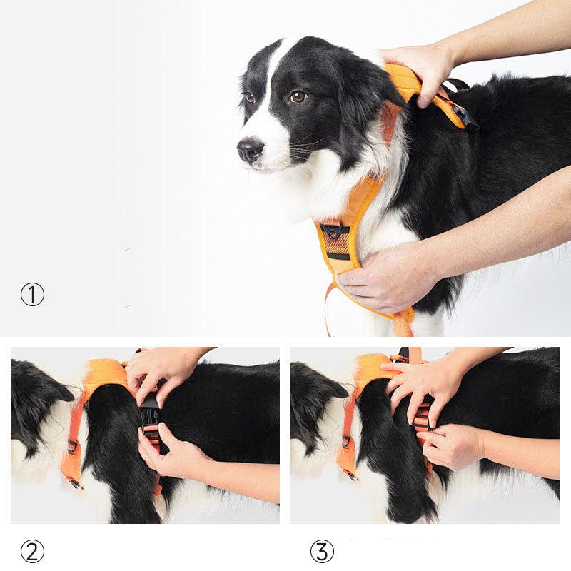 Wendy Pet Shop™ Dog Harness and Retractable Leash Set All-in-One