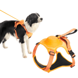 Wendy Pet Shop™ Dog Harness and Retractable Leash Set All-in-One