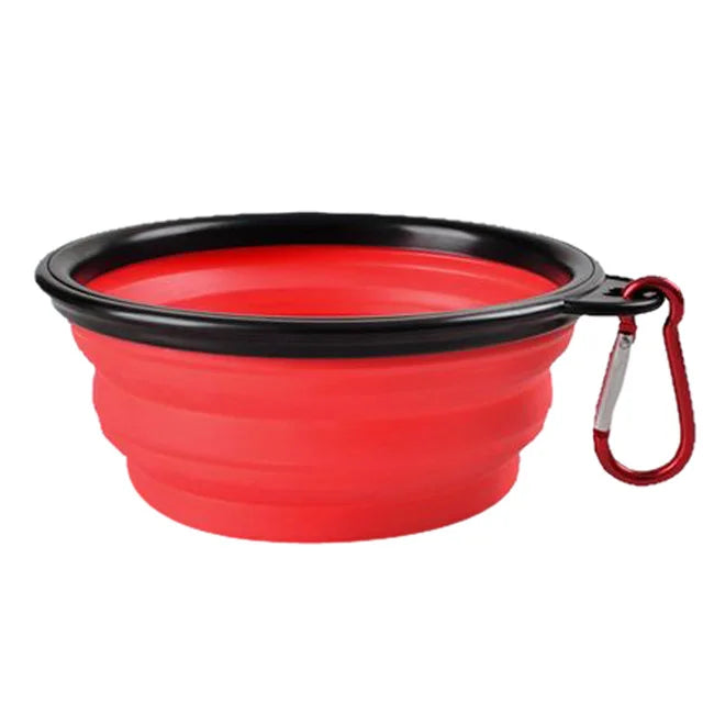 Collapsible Dog Feeder