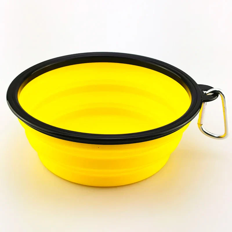 Collapsible Dog Feeder