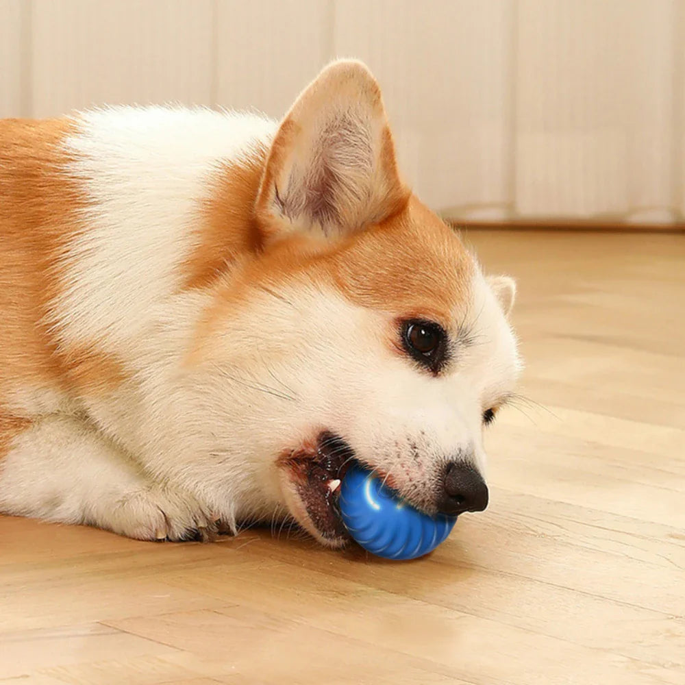 Automatic Dog Ball Toy