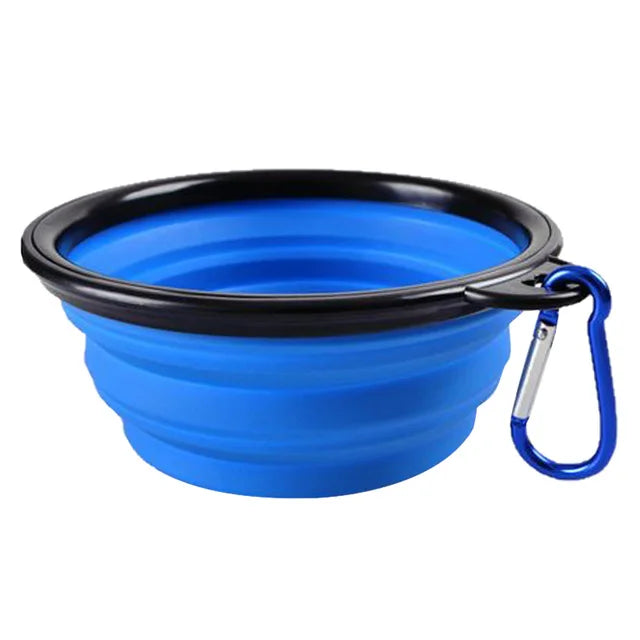 Collapsible Dog Feeder