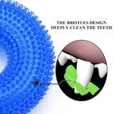 Interactive Dog Chew Toy