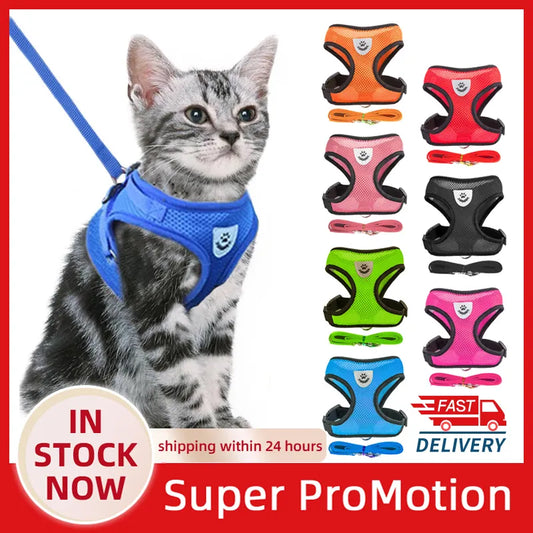 Cat Harness Vest