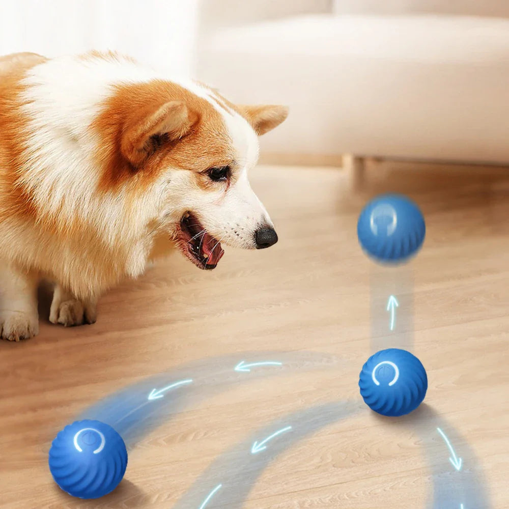 Automatic Dog Ball Toy