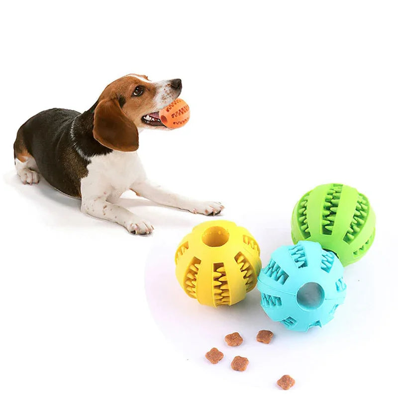 Dog Ball Feeder