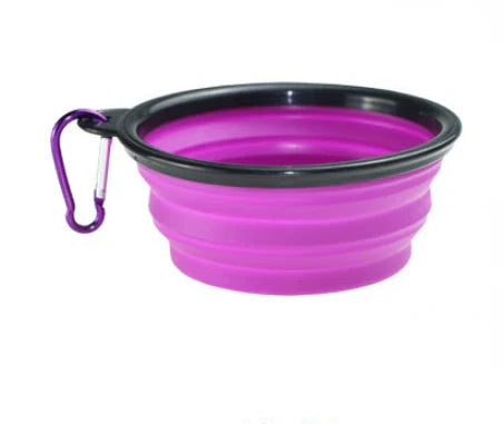 Collapsible Dog Feeder