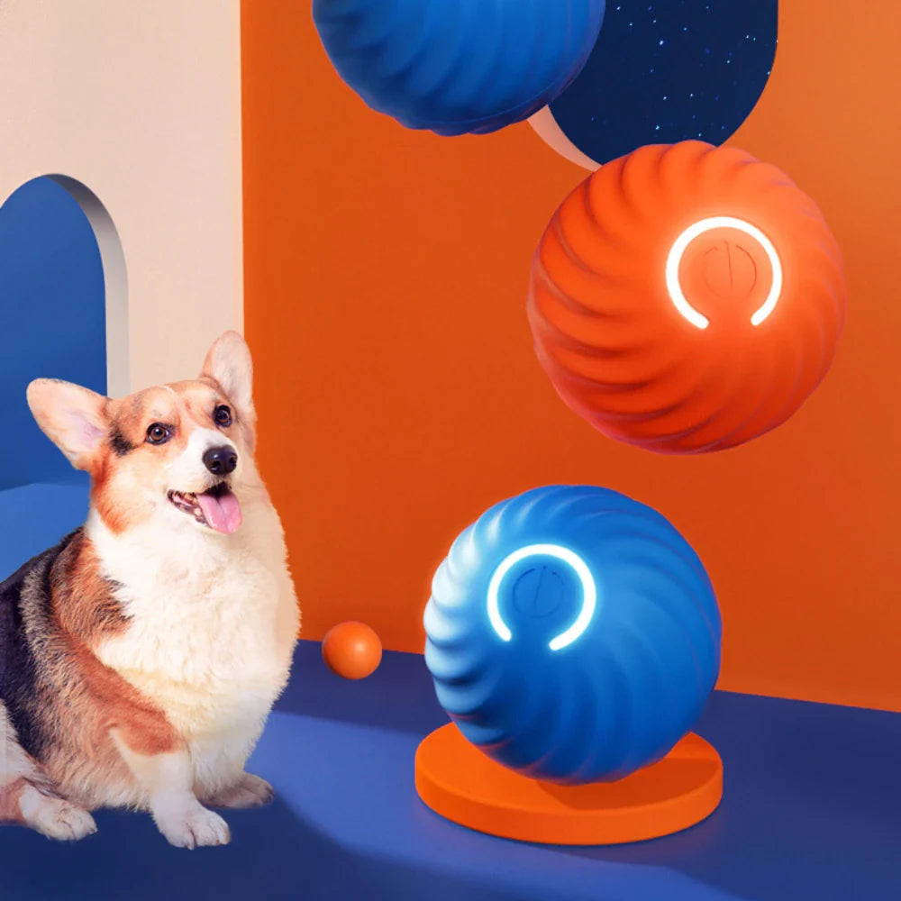 Automatic Dog Ball Toy