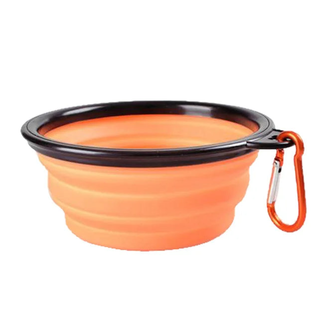 Collapsible Dog Feeder