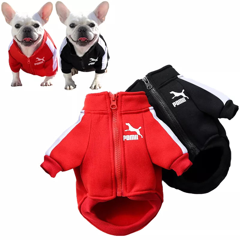 Fashion Dog Jacket