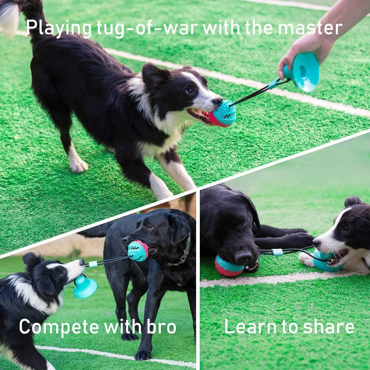 Dog Tug of War Ball