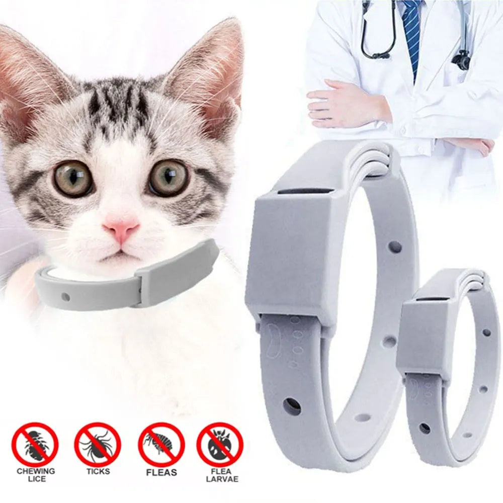 Anti Flea Cat Collar