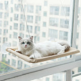 Cat Hanging Hammock