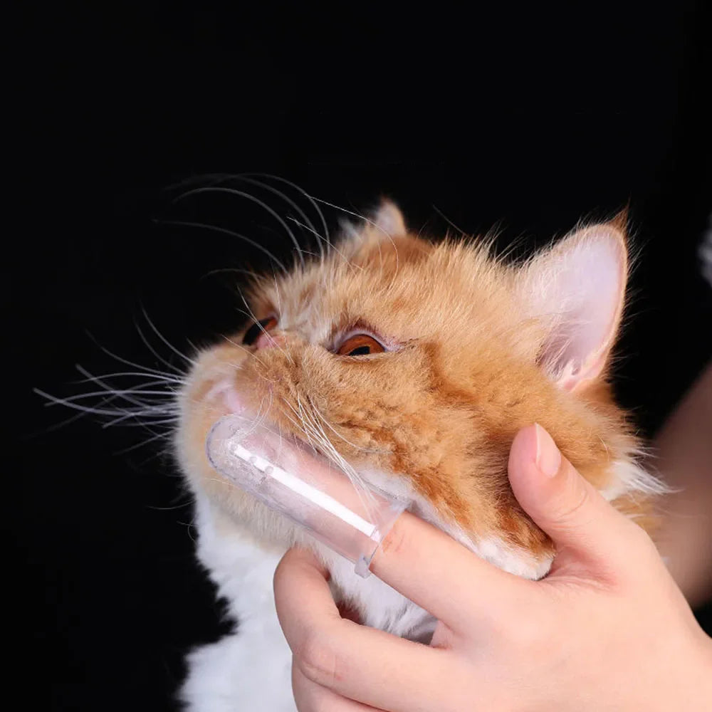 Finger Toothbrush For Pets