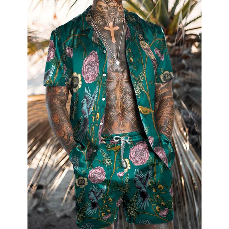 Men's Hawaiian Matching Set Print Two Piece Set 67782353L